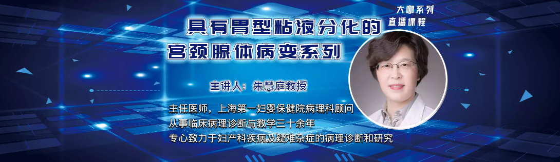 朱慧庭教授《具有胃型粘液分化的宫颈腺体病变系列》